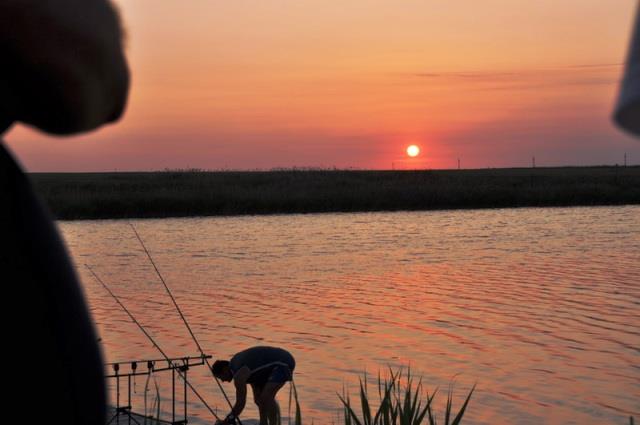 Doar ... NATURA - 4 - cnpc20-20ii20151resize1.jpg